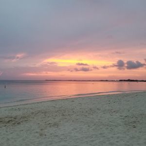 Meet your Posher, Sydney